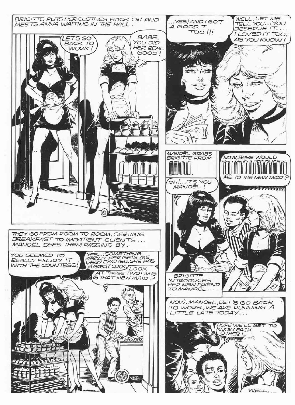 Brigitte De Luxe Maid #3 - part 2 page 1
