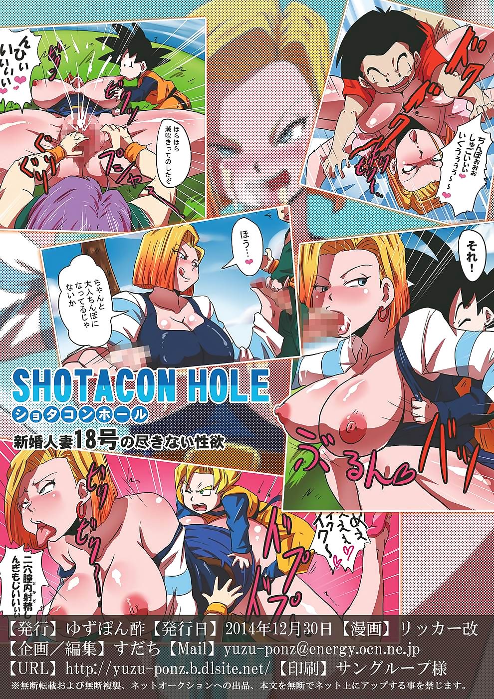 Dragon Ball z  SHOTACON HOLE page 1